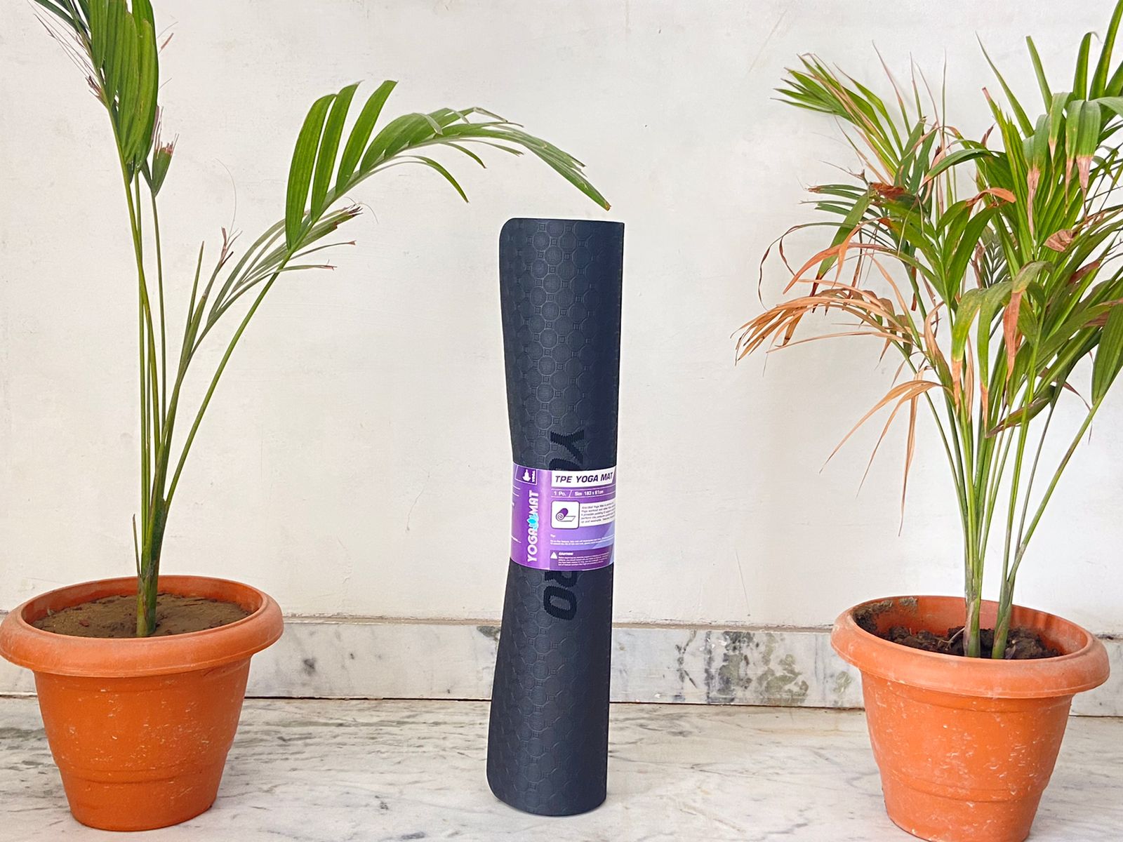 Yogpro TPE Yoga Mat 6 x 2 ft