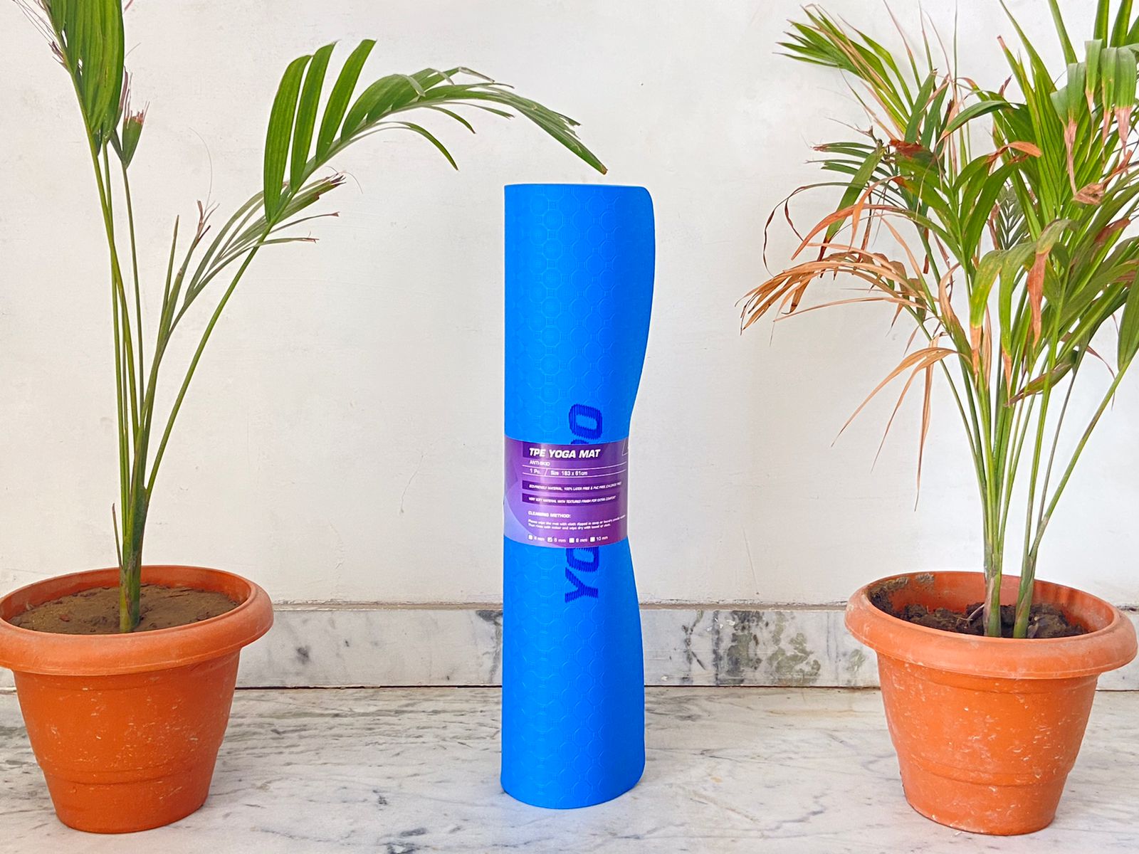 Yogpro TPE Yoga Mat 6 x 2 ft